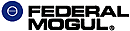 Federal Mogul
